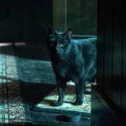 Chilling Adventures of Sabrina - galeria zdjęć - filmweb