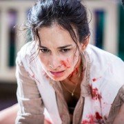 Zhan Lang 2 - galeria zdjęć - filmweb