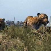 Cabela's Dangerous Hunts 2013 - galeria zdjęć - filmweb