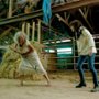 Revival - galeria zdjęć