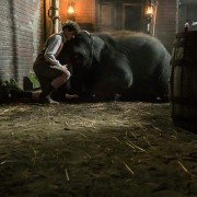 Zoo - galeria zdjęć - filmweb