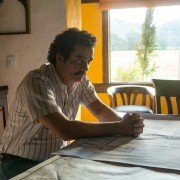 Narcos - galeria zdjęć - filmweb