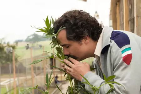 Narcos - galeria zdjęć - filmweb
