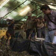 Narcos - galeria zdjęć - filmweb