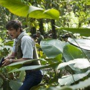 Narcos - galeria zdjęć - filmweb