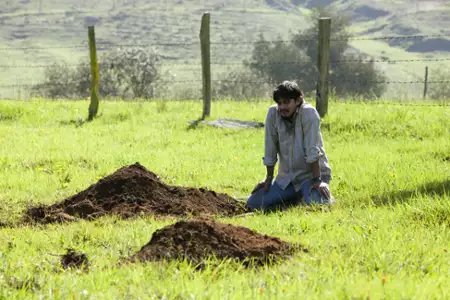 Narcos - galeria zdjęć - filmweb