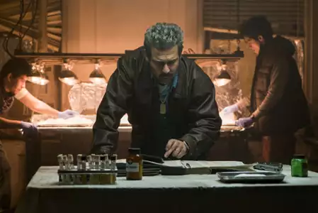 Narcos - galeria zdjęć - filmweb