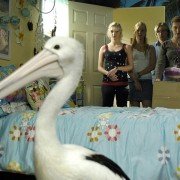 H2O, wystarczy kropla - galeria zdjęć - filmweb