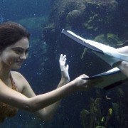 H2O: Just Add Water - galeria zdjęć - filmweb