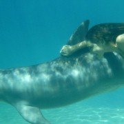 H2O: Just Add Water - galeria zdjęć - filmweb