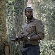 Gaia - galeria zdjęć - filmweb