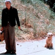 The Jerk - galeria zdjęć - filmweb