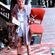 The Jerk - galeria zdjęć - filmweb