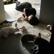 Perfect Sense - galeria zdjęć - filmweb