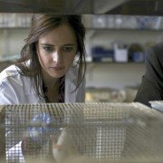 Perfect Sense - galeria zdjęć - filmweb