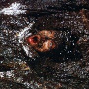 Home Alone 3 - galeria zdjęć - filmweb
