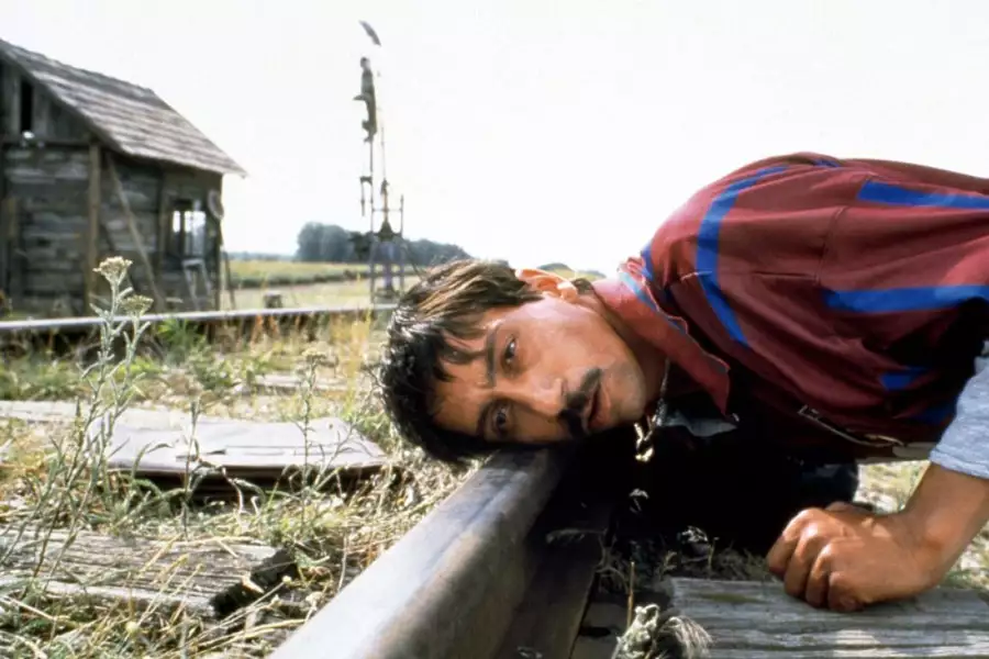 Czarny kot, biały kot - galeria zdjęć - filmweb