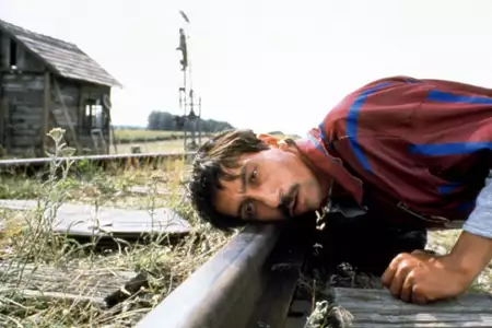 Czarny kot, biały kot - galeria zdjęć - filmweb