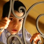 Giallo: Kolekcjoner piękna - galeria zdjęć - filmweb