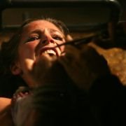 Giallo: Kolekcjoner piękna - galeria zdjęć - filmweb