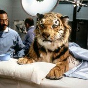 Dr Dolittle - galeria zdjęć - filmweb