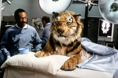 Dr Dolittle - galeria zdjęć - filmweb