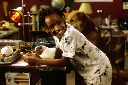 Dr Dolittle - galeria zdjęć - filmweb
