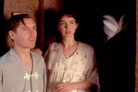 Elfy z ogrodu czarów - galeria zdjęć - filmweb