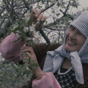 More Than Honey - galeria zdjęć - filmweb