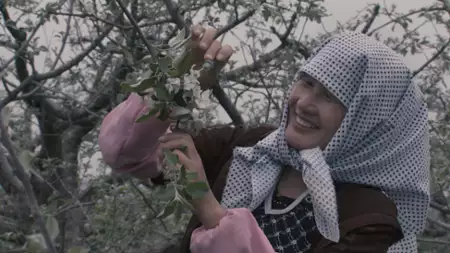 Więcej niż mi&oacute;d - galeria zdjęć - filmweb