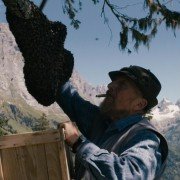 More Than Honey - galeria zdjęć - filmweb