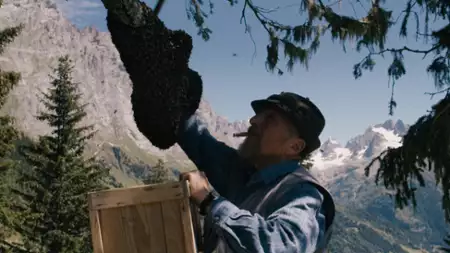 Więcej niż mi&oacute;d - galeria zdjęć - filmweb