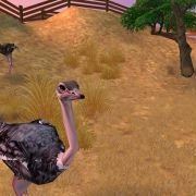 Zoo Tycoon 2 - galeria zdjęć - filmweb