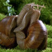 Mikrokosmos - galeria zdjęć - filmweb