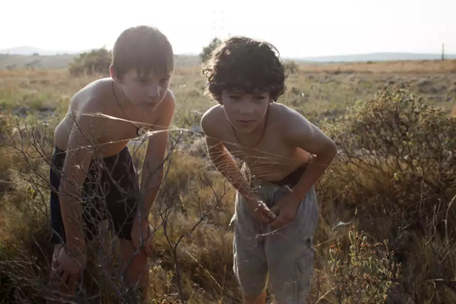 Dzikie życie - galeria zdjęć - filmweb