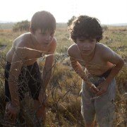 Dzikie życie - galeria zdjęć - filmweb