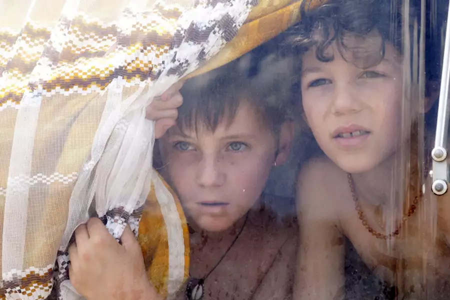 Dzikie życie - galeria zdjęć - filmweb