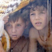 Dzikie życie - galeria zdjęć - filmweb