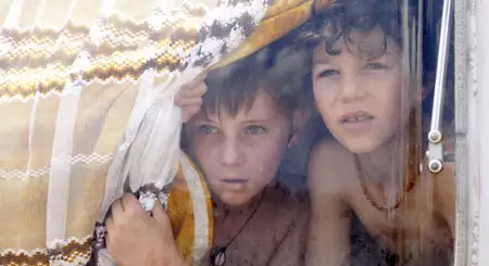 Dzikie życie - galeria zdjęć - filmweb
