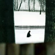 Mój Nikifor - galeria zdjęć - filmweb