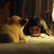 King - galeria zdjęć - filmweb