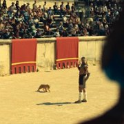 King - galeria zdjęć - filmweb