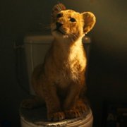 King - galeria zdjęć - filmweb
