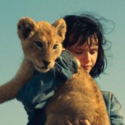 King - galeria zdjęć - filmweb