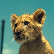 King - galeria zdjęć - filmweb