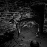 The Pony Factory - galeria zdjęć - filmweb