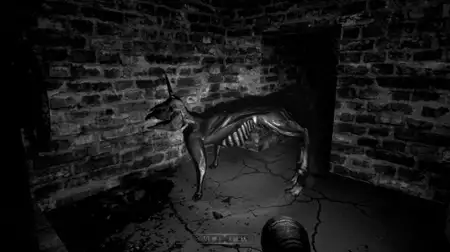 The Pony Factory - galeria zdjęć - filmweb
