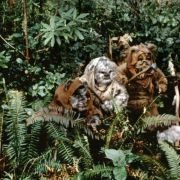 Star Wars: Episode VI - Return of the Jedi - galeria zdjęć - filmweb