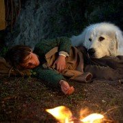 Belle et Sébastien, l'aventure continue - galeria zdjęć - filmweb