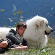 Belle et Sébastien, l'aventure continue - galeria zdjęć - filmweb